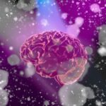 SurVaxM Interim Analysis