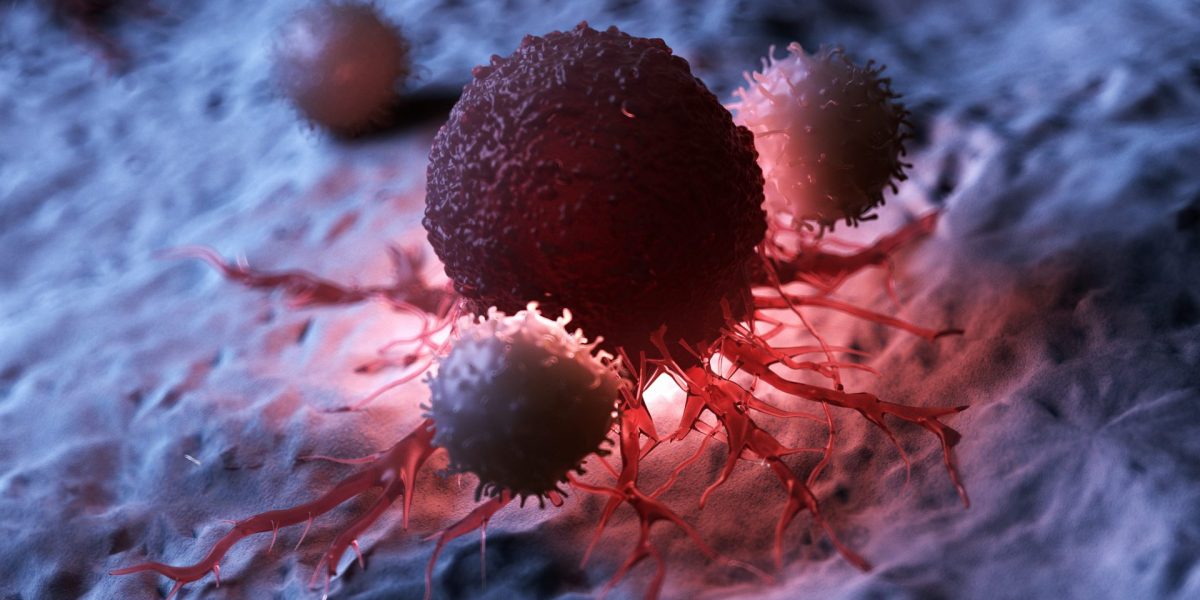 3d rendered medically accurate illustration of white blood cells attacking a cancer cell